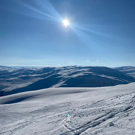 Myrkdalen * Voss